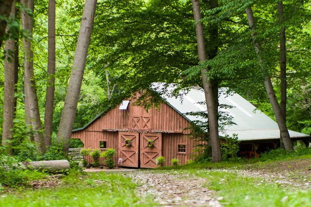 Down the gravel lane — Solitude Stables, Harwood, MD