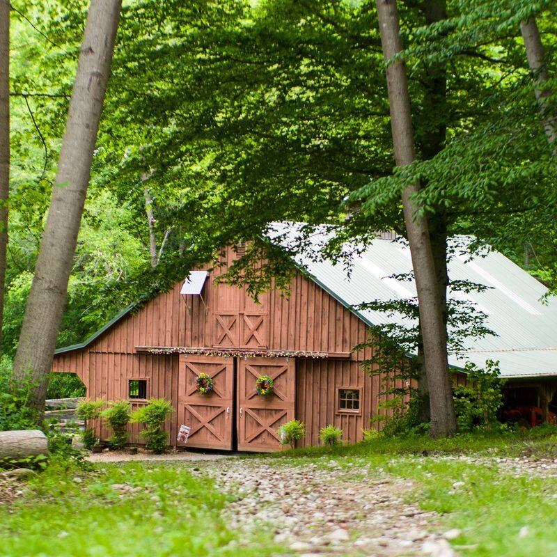 The barn framed by trees at Solitude Stables