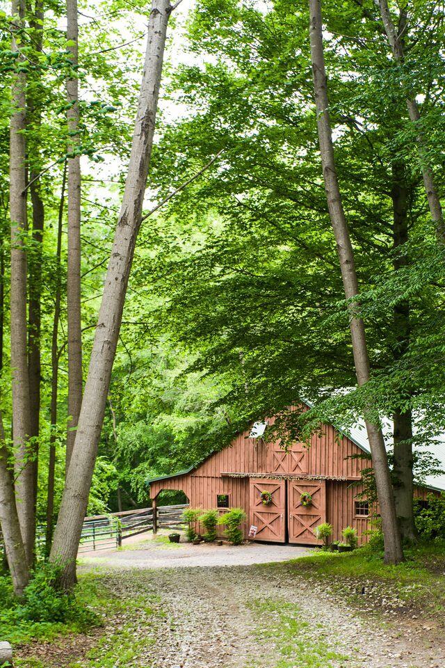 The barn among the trees — Solitude Stables, Harwood, MD