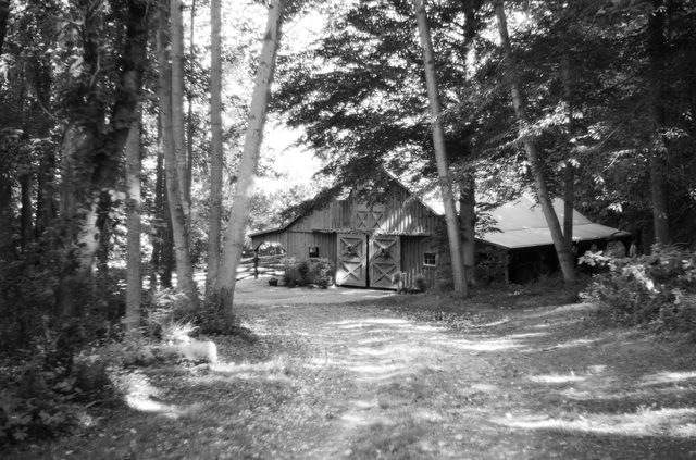 The barn, in black & white — Solitude Stables, Harwood, MD
