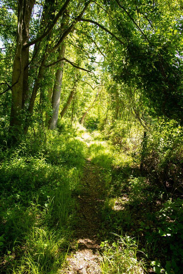 A quiet way through — Solitude Stables, Harwood, MD