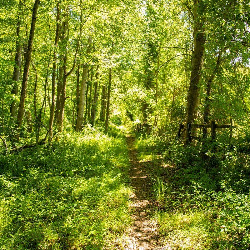 A riding trail near Annapolis, MD