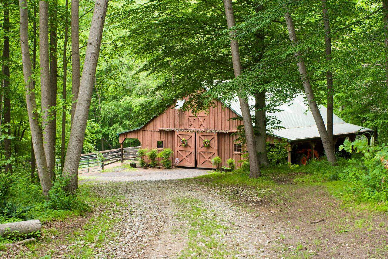 A wooded riding trail in Anne Arundel County, Maryland