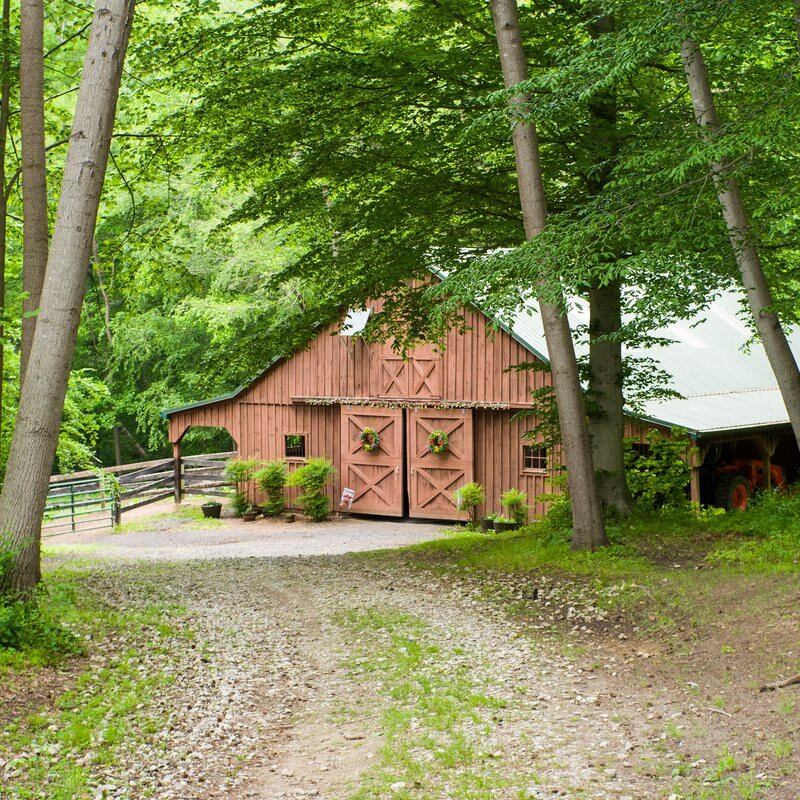Maryland woodland riding country